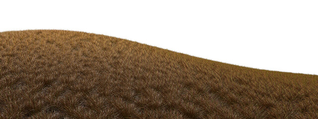 Obraz premium Dry savannah grassland hill cutout on transparent background 3d rendering png
