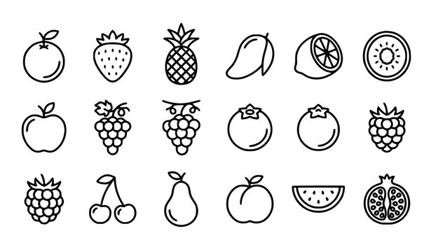 Fresh organic fruit and berry outline icons orange kiwi strawberry mango lemon vector