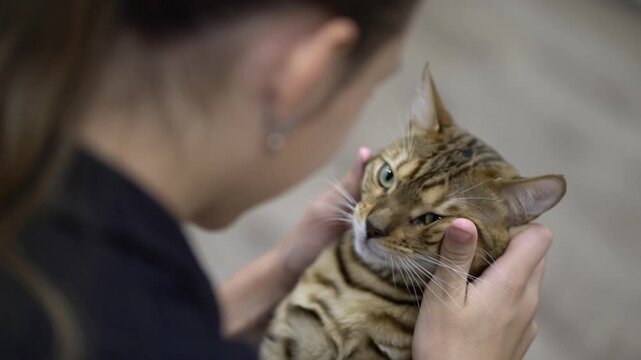 Girl gently holds a Bengal cat gazing up with green eyes in a tender pet-owner moment.