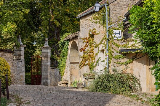 Stone gateposts marking an entrance along a leafy village lane, Yonne, Montr&eacute;al, France