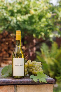 White Wine and Grapes in a Vertical Garden Still Life