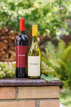 Wine Bottles and Grapes Outdoors, Vertical Still Life