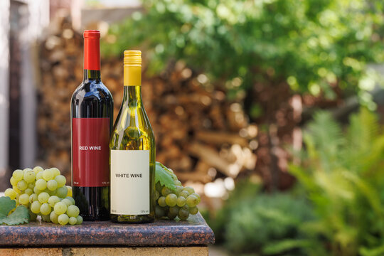 Wine Bottles and Grapes with Garden Copy Space