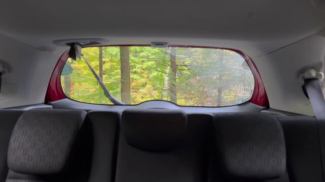 Car rear windshield wiper operating with view of trees