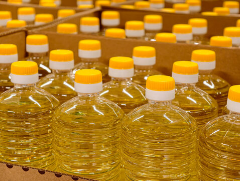 Bottles of sunflower oil with a distinct yellow color stand in cardboard boxes on grocery store counters, showing how edible vegetable oil is presented for sale