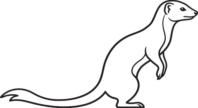 Minimalist line art illustration of a full body mongoose standing