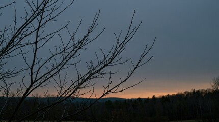 Obraz premium Sparse tree branches silhouetted against a muted twilight sky, atmospheric nature photography, dusky blue-gray palette, subtle warm horizon glow, minimal composition and contemplative seasonal mood.