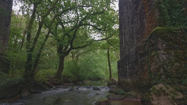 View of the river Par flowing through the lush woodland of Luxulyan Valley beneath the historic stone arches of the Treffry Viaduct in Luxulyan, Bodmin, Cornwall, United Kingdom.