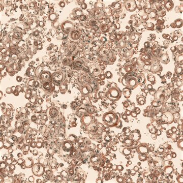 Earthy Organic Shapes Concept. Close-up of soapy water bubbles with light reflections on a pale background