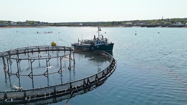 Aerial coastal view of salmon aquaculture in Nova Scotia, Canada, with floating fish farming cages surrounded by Atlantic waters and a fishing boat docked at the farm.