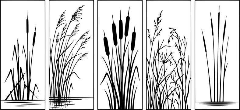 Set of reed and cattail silhouettes in panels. Black floral and botanical vector illustrations on white background.