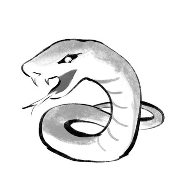 White cobra snake illustration on black background