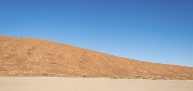 Salt and clay pan, Dead Pan, Sossusvlei, UNESCO World Heritage Site, Namib Desert, Namibia