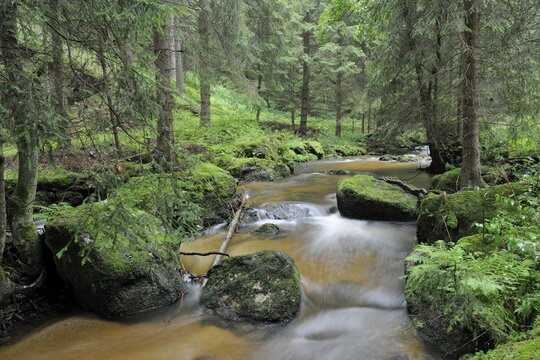 Zwettlbach brook, Gross Gerungs, Waldviertel region, Lower Austria, Austria, Europe