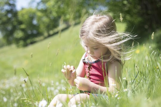 Girls, Picking daisies, Schliersee, Bavaria, Germany