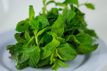Fresh Green Mint Leaves Bunched on a Plate © InversedSlayer