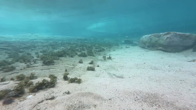 coral reef and sea, swimming underwater, diving clear water, rock pools and wreck, shallow water, snorkeling and scuba 