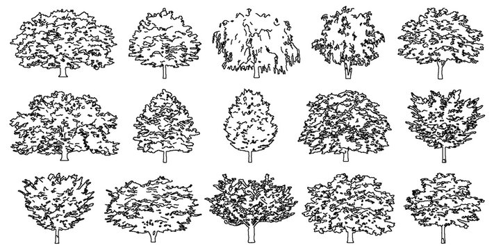 Diverse selection of hand drawn trees for landscape architecture and site design isolated on transparent background