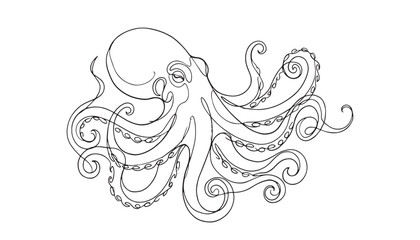 Continuous one single minimal line drawing of a octopus © vector