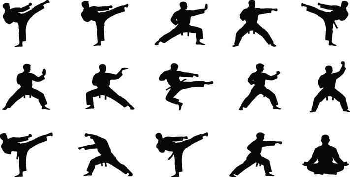 Dynamic martial arts silhouettes a collection of powerful poses and traditional fighting stances, vector illustration