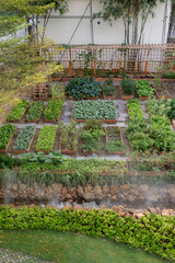 Fototapeta premium An overhead view of a well-organized backyard vegetable garden with raised wooden beds and a small misty stream.