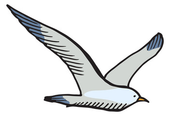 Obraz premium Seagull color sketch. Marine bird. Hand drawn animal