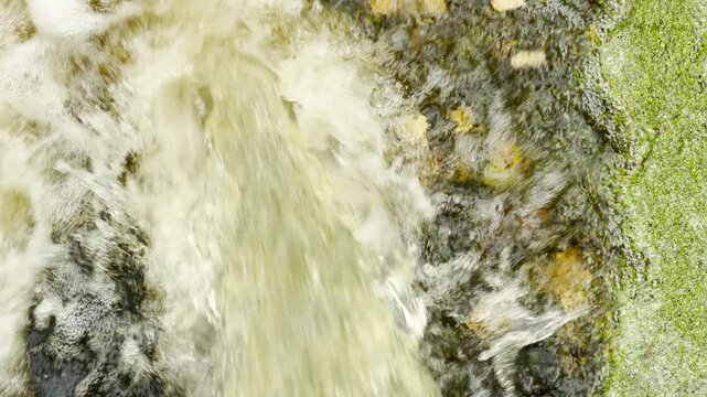 Water cascades powerfully over mossy stones at Viscontiev Bridge in Pavlovsk Park, Saint Petersburg. This rushing stream creates an uplifting feeling of fresh energy and wonder.