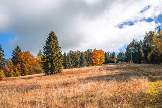 Colorful autumn foliage enhances the beauty of Bukova Hora in Cenkovice. The grassy hill is dotted with vibrant trees, inviting visitors to enjoy the scenic landscape.