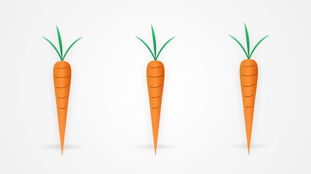 A minimalist graphic display of five stylized orange carrots with green leafy tops arranged in two rows on a plain white background, featuring a clean and simple vector illustration style