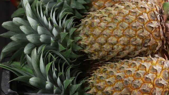 Fresh pineapples with green leaves stored in background at local market