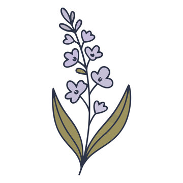 Purple Wildflower Stem