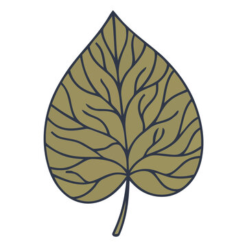 Heart Shaped Leaf