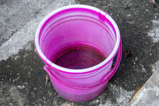 Pink plastic bucket filled with dirty stagnant rainwater outdoors. High risk location for dengue mosquito breeding.