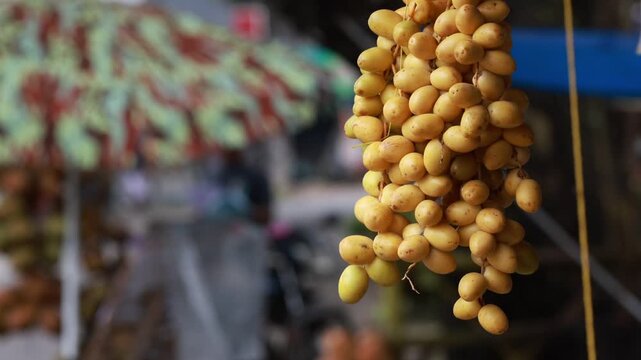 Fresh yellow dates branch harvested from local farm market