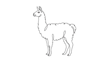 Obraz premium Continuous one single minimal line drawing of a llama