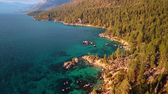 Lake Tahoe shoreline with forested slopes and turquoise coves. Pine covered hills descend to rocky inlets where shallow water borders the deeper blue expanse of Lake Tahoe.