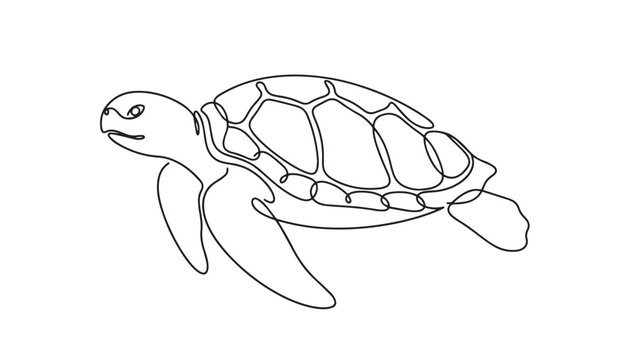Continuous one single minimal line drawing of a Turtle