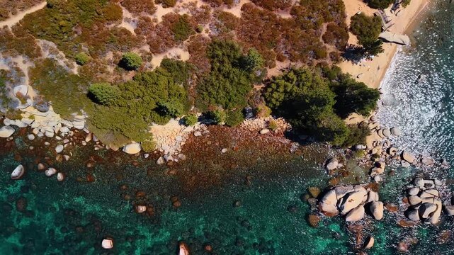 Shoreline shrubs and boulders viewed above Lake Tahoe. A narrow beach and exposed rocks border rippled Lake Tahoe water below patches of green vegetation.