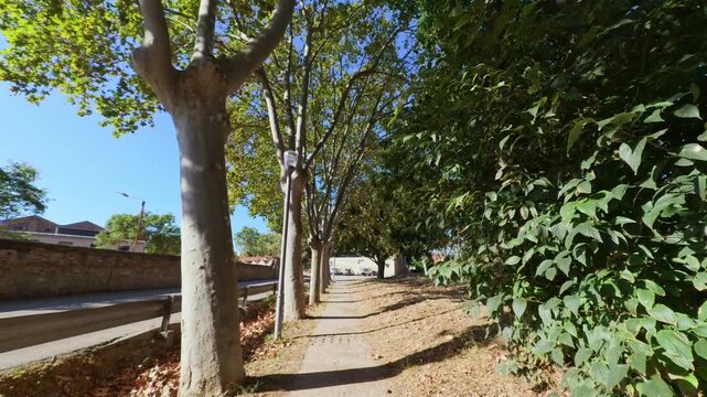 POV Walking along a Tree Lined Path with Green Trees under Blue Sky in Colonia Guell Barcelona Spain