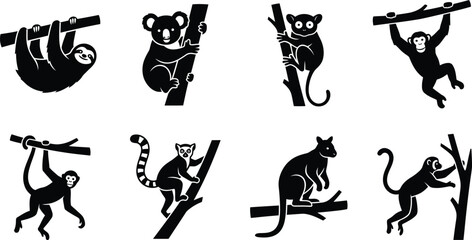 Obraz premium Set of Tropical Animal Icons Climbing and Hanging on Branches, Black Silhouette Vector Illustration Isolated on White Background
