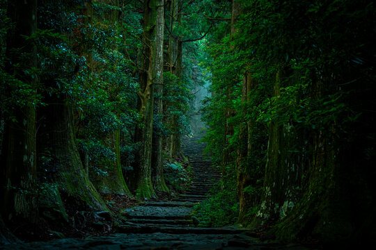 Misty Daimonzaka Path in Kumano Kodo World Heritage Site, Wakayama