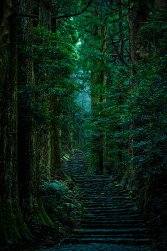 Misty Daimonzaka Path in Kumano Kodo World Heritage Site, Wakayama