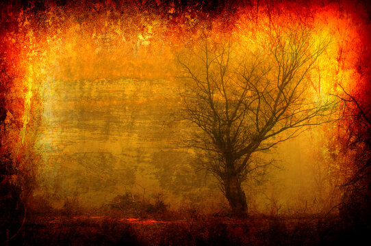 Art grunge spooky landscape showing silhouette of tree on colorful texture	
