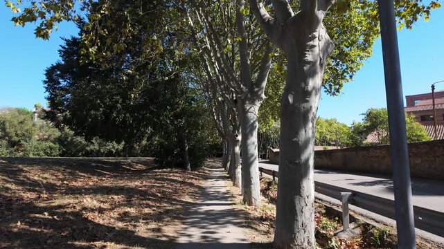 POV Walking along a Tree Lined Sidewalk beside Road in Colonia Guell Barcelona Spain