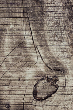Weathered wooden surface displaying deep cracks and a prominent knot, creating a natural texture and rustic background pattern ideal for design projects.