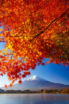 Mountain fuji with red maple in Autumn, Kawaguchiko Lake, Japan