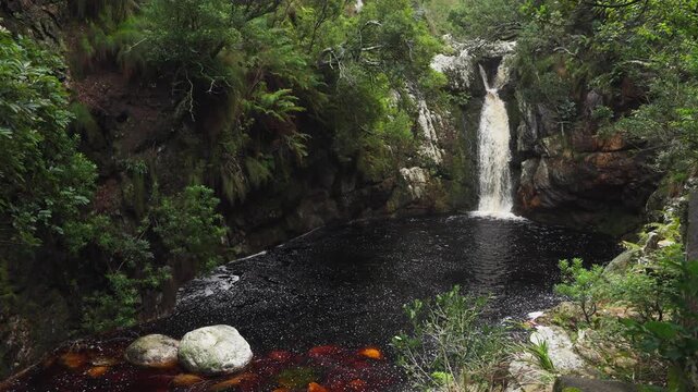 Disa River Falls cascading through riverine vegetation at Betty&rsquo;s Bay. Natural waterfall scene on the Whale Coast, Overberg, Western Cape, South Africa.