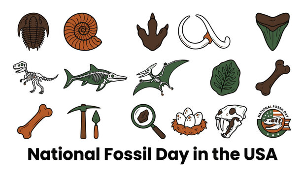 National Fossil Day icon set featuring dinosaur bones, ammonite, trilobite, paleontology tools, and prehistoric fossils vector