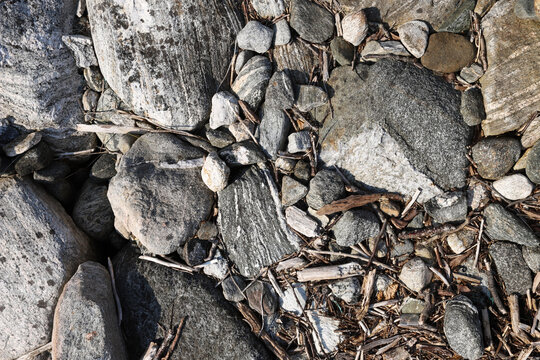 Natural stone texture of weathered granite rocks and driftwood pieces. Top view of rough coastal rocks, grey bedrock, granite stones and dry wood elements on the shore of a norwegian fjord.
