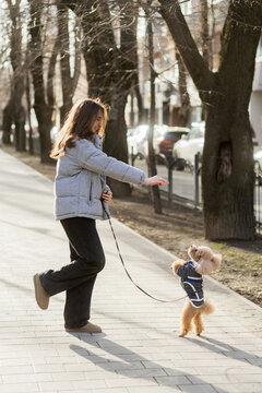 Outdoor winter photo of a happy woman training her brown poodle dog
